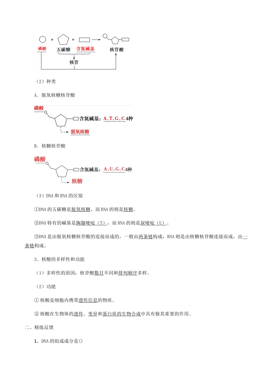 高中生物 第三章 细胞的物质基础 第四节 核酸学案 北师大版必修1-北师大版高一必修1生物学案_第2页