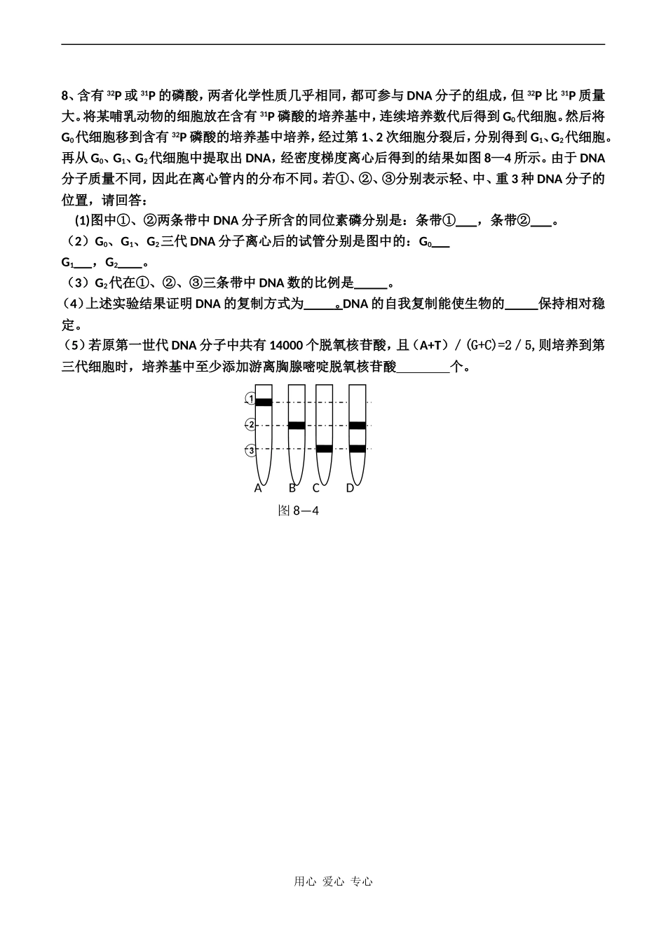 高中生物：DNA的复制学案 中图版必修2_第3页