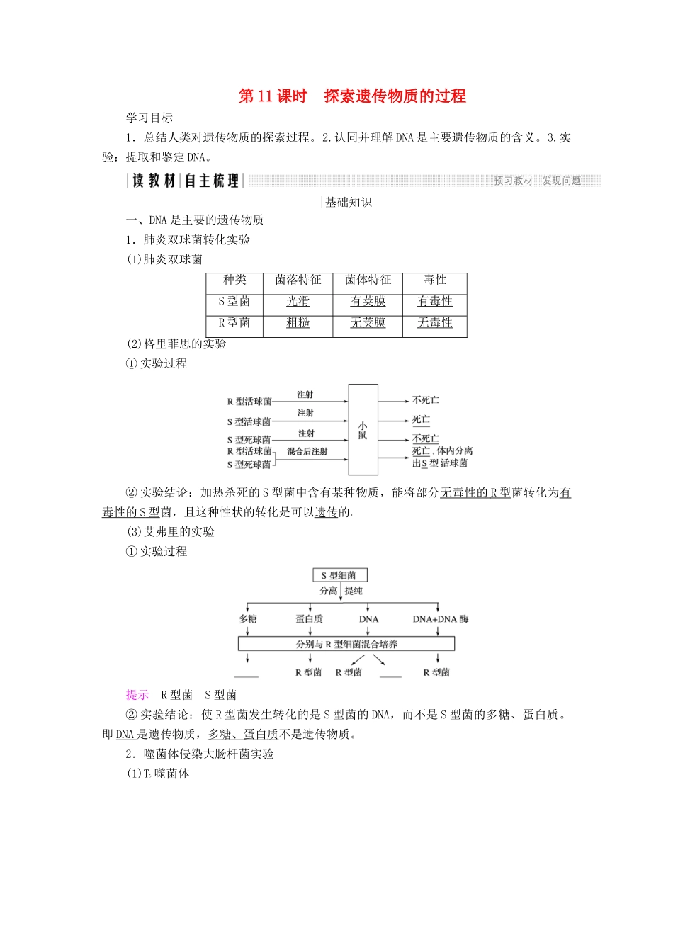 高中生物 第四章 遗传的分子基础 第11课时 探索遗传物质的过程学案 苏教版必修2-苏教版高一必修2生物学案_第1页