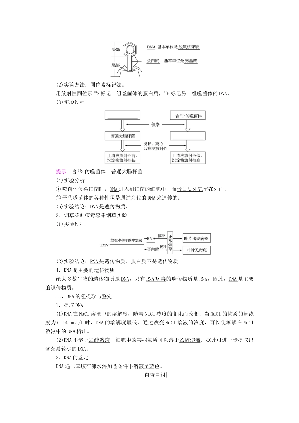 高中生物 第四章 遗传的分子基础 第11课时 探索遗传物质的过程学案 苏教版必修2-苏教版高一必修2生物学案_第2页