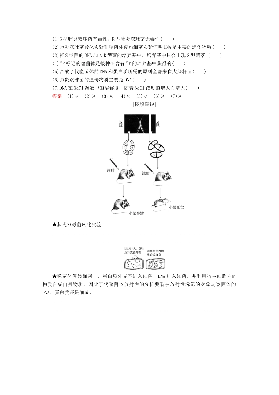 高中生物 第四章 遗传的分子基础 第11课时 探索遗传物质的过程学案 苏教版必修2-苏教版高一必修2生物学案_第3页