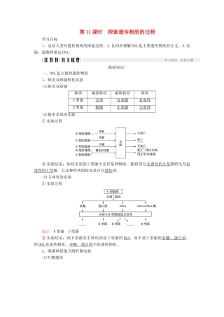 高中生物 第四章 遗传的分子基础 第11课时 探索遗传物质的过程学案 苏教版必修2-苏教版高一必修2生物学案