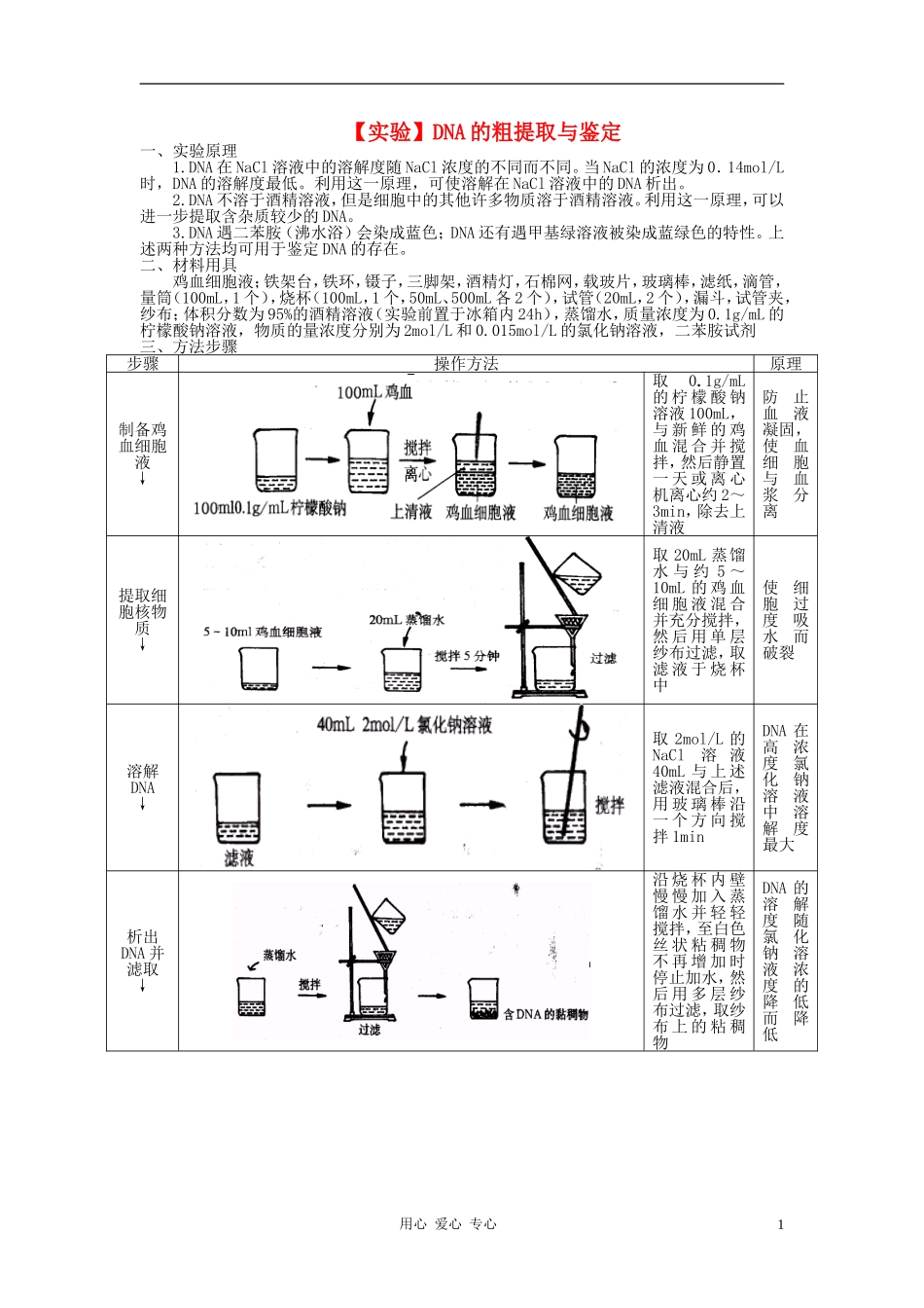 高中生物《DNA的粗提取与鉴定》学案5 新人教版必修1_第1页