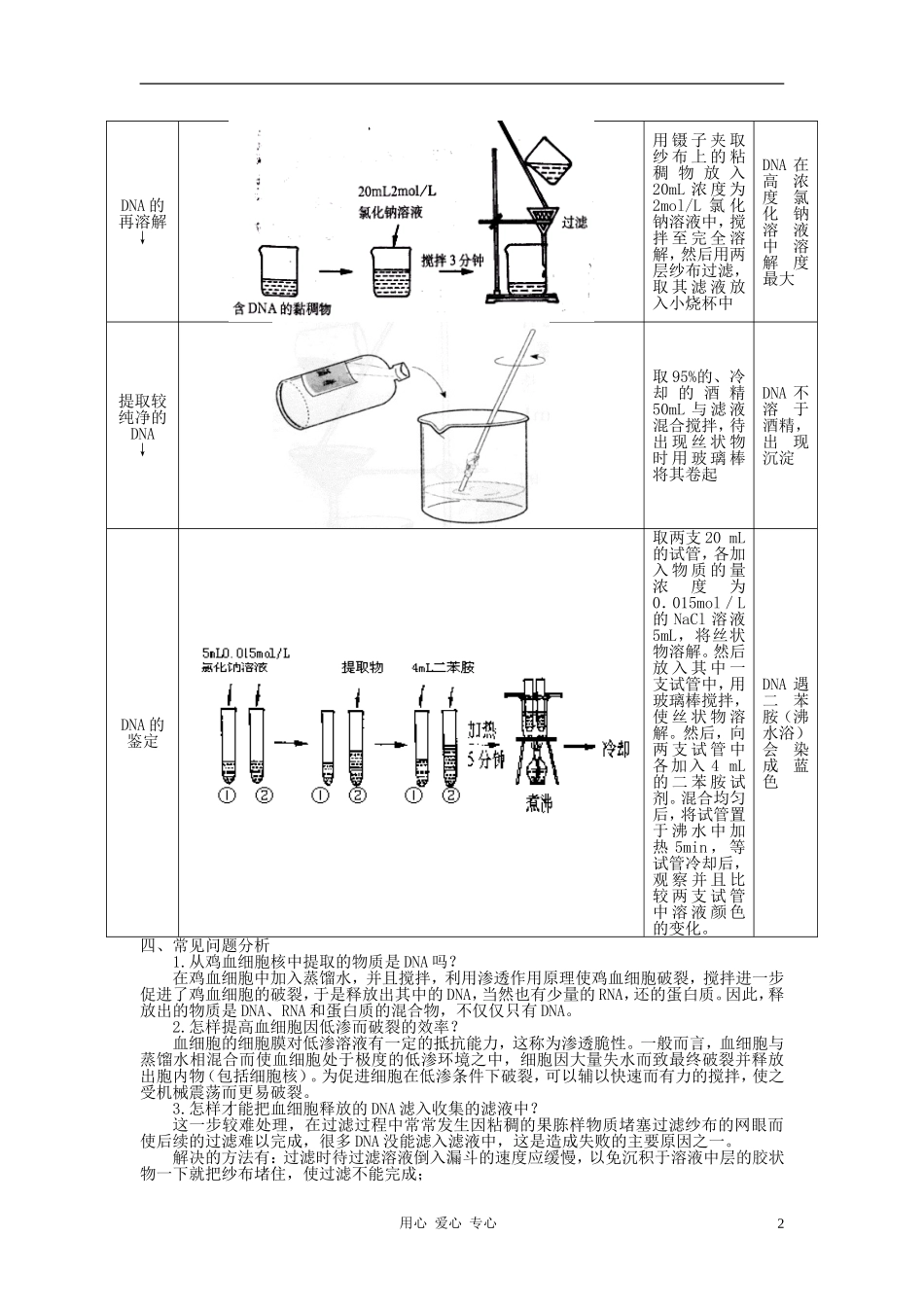 高中生物《DNA的粗提取与鉴定》学案5 新人教版必修1_第2页