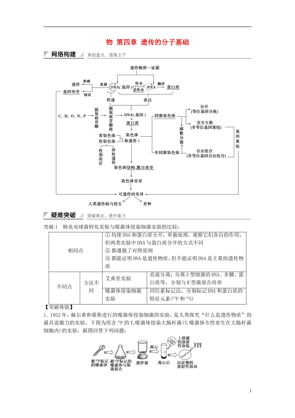高中生物 第四章 遗传的分子基础章末整合提升学案 苏教版必修2-苏教版高一必修2生物学案_第1页