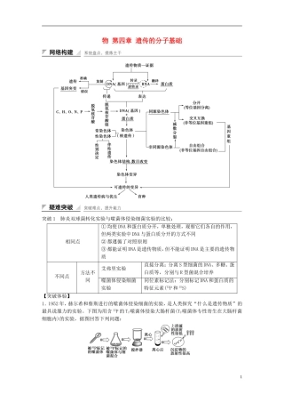高中生物 第四章 遗传的分子基础章末整合提升学案 苏教版必修2-苏教版高一必修2生物学案
