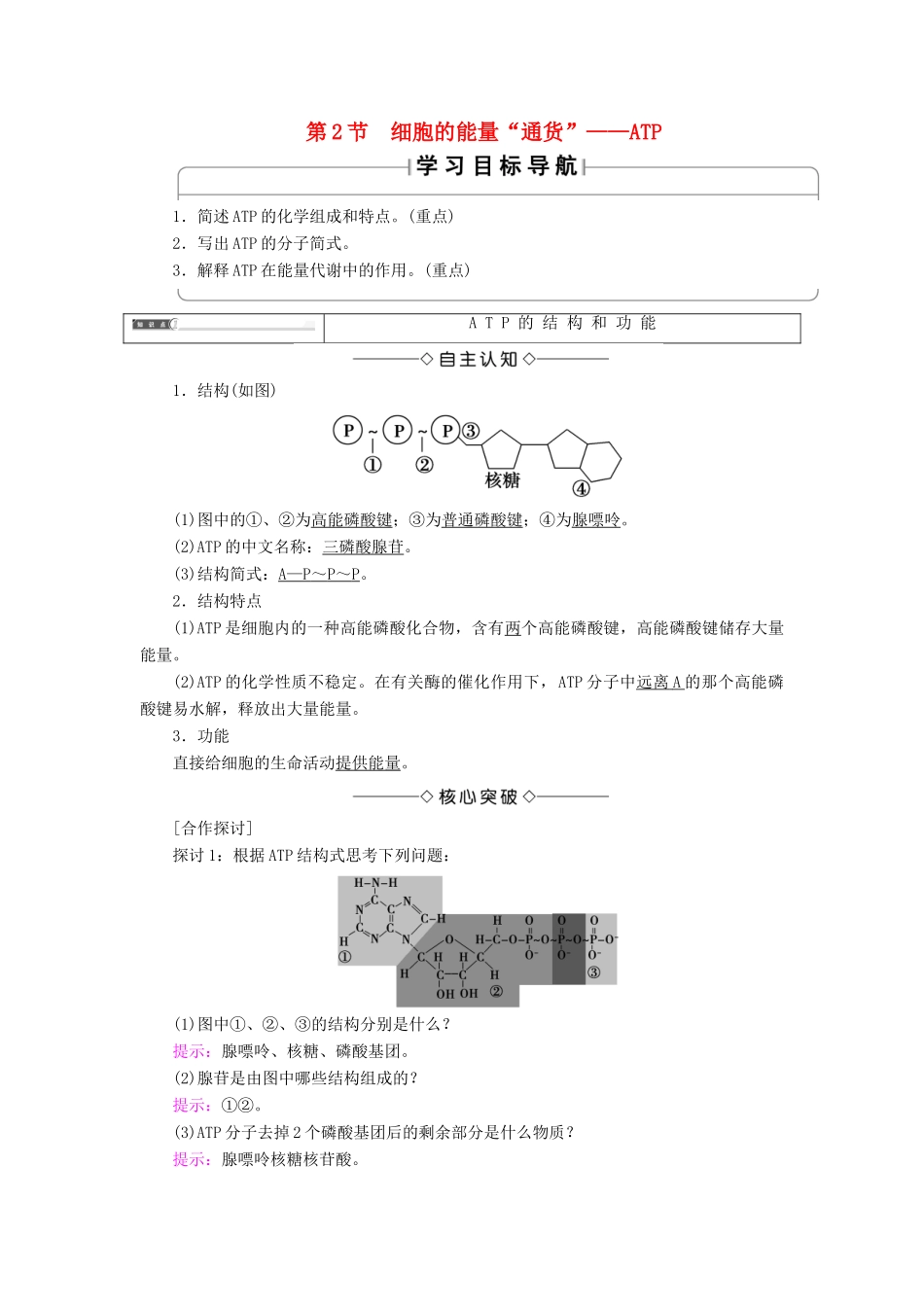 高中生物 第五章 细胞的能量供应和利用 第2节 细胞的能量“通货”——ATP学案 新人教版必修1-新人教版高一必修1生物学案_第1页