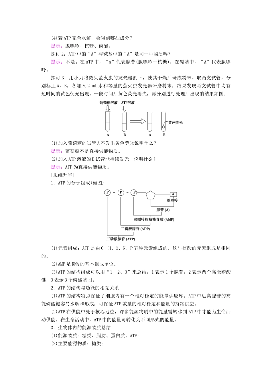 高中生物 第五章 细胞的能量供应和利用 第2节 细胞的能量“通货”——ATP学案 新人教版必修1-新人教版高一必修1生物学案_第2页
