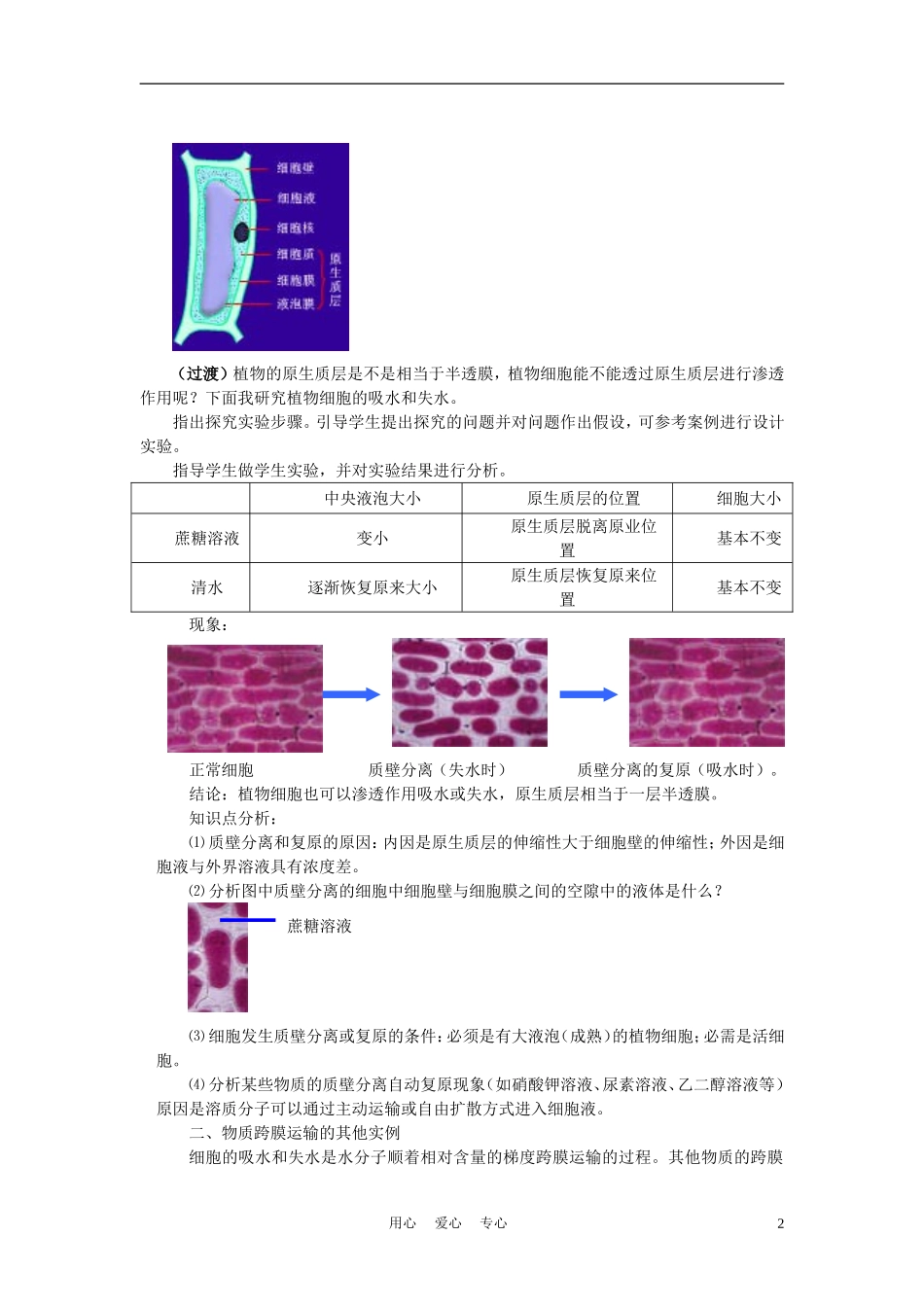 高中生物《物质跨膜运输的实例》学案2 新人教版必修1_第2页