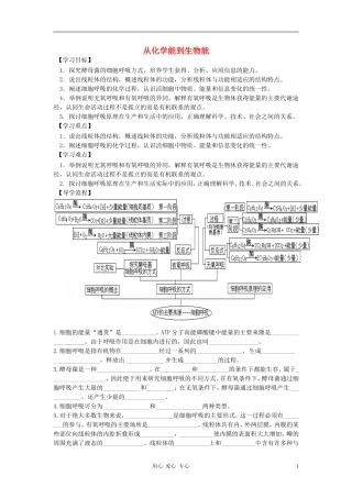 高中生物《从化学能到生物能》学案5 中图版必修1