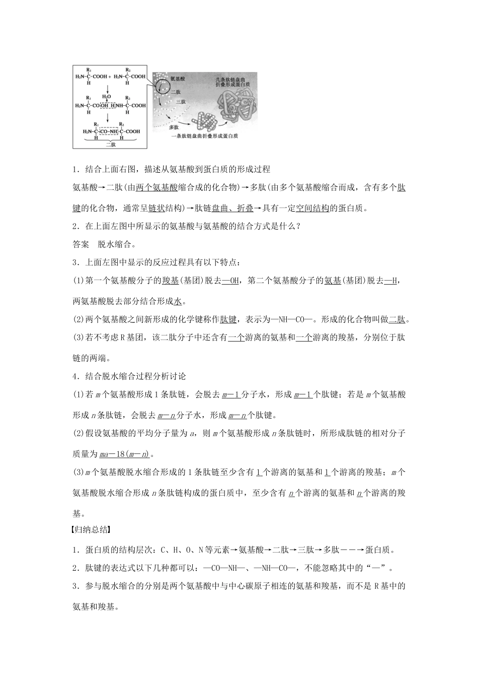 高中生物 第二章 第4课时 蛋白质的结构和功能课时作业 苏教版必修1-苏教版高一必修1生物学案_第3页
