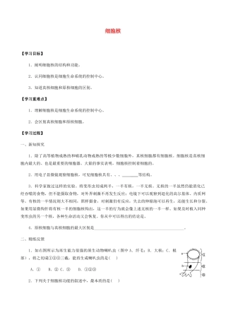 高中生物 第二章 细胞的结构与功能 第三节 细胞核学案 北师大版必修1-北师大版高一必修1生物学案