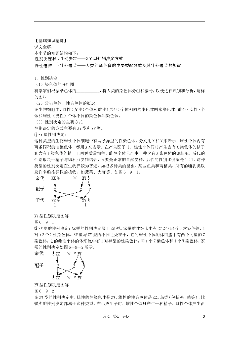 高中生物 第6章 性别决定和伴性遗传全套导学案 新人教版必修1_第3页