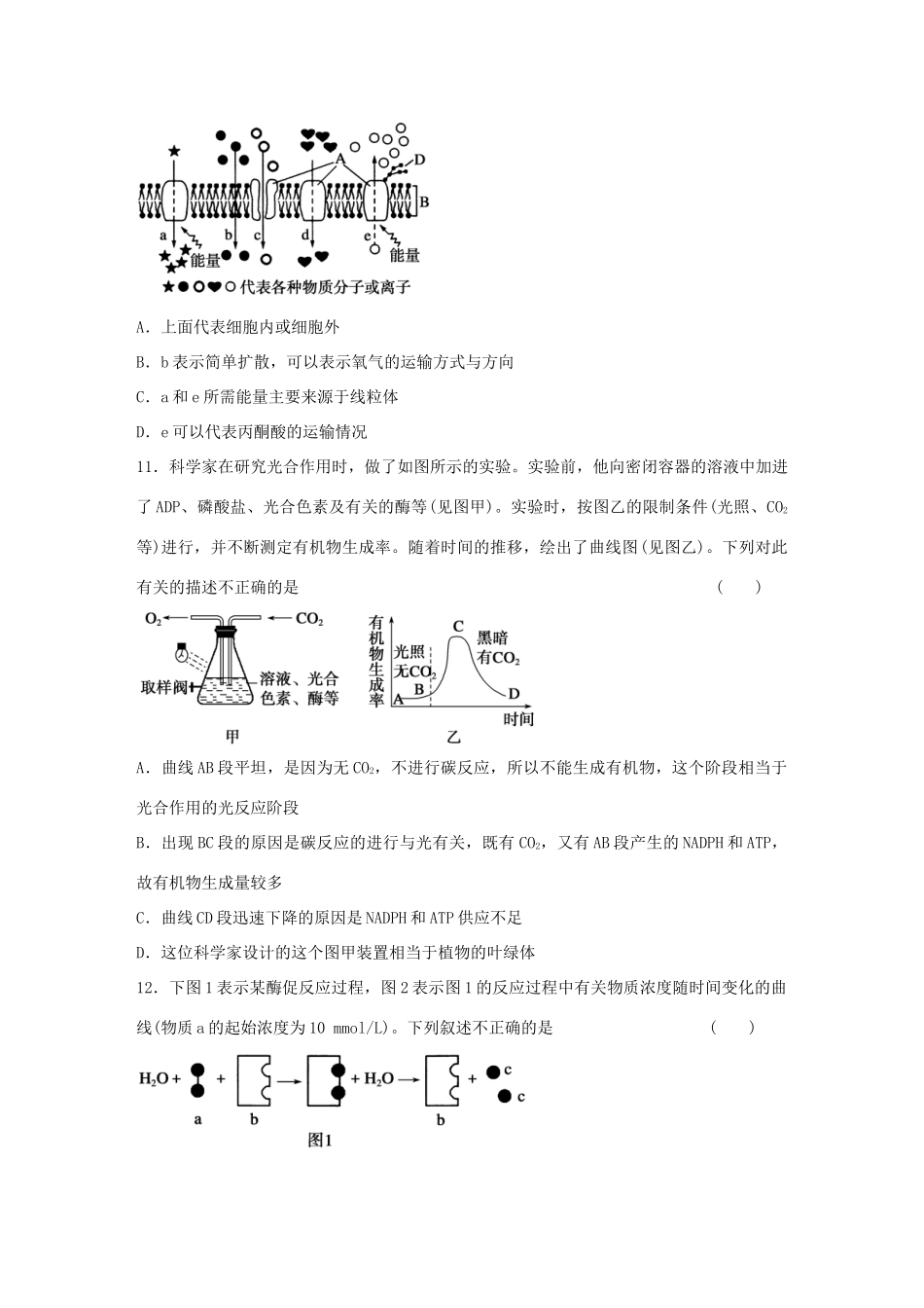 高中生物期末综合检测（二） 浙科版必修1-浙科版高一必修1生物学案_第3页