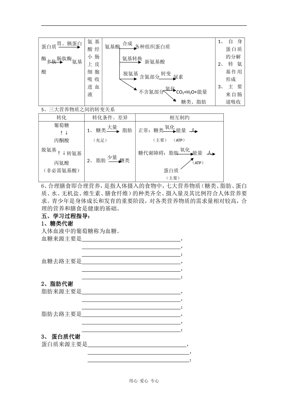 高中生物：4.4《生物体内营养物质的转换》学案（2）（沪科版第一册）_第2页