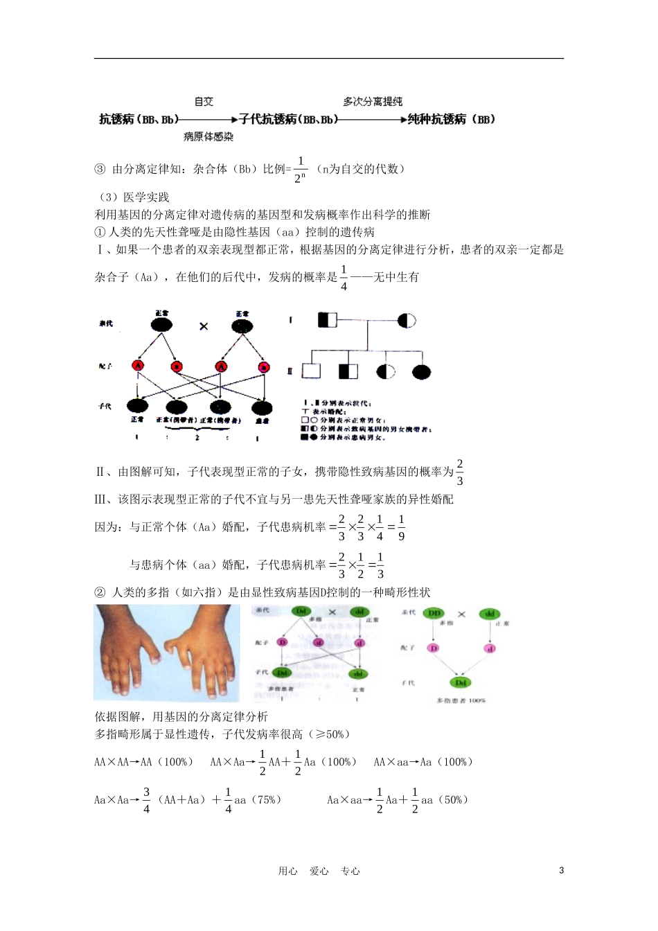 高中生物《基因的分离定律》学案4 苏教版必修2_第3页
