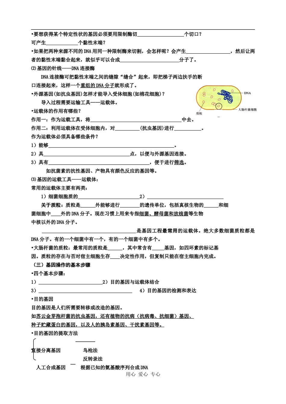 高中生物基因工程的基本内容学案_第2页