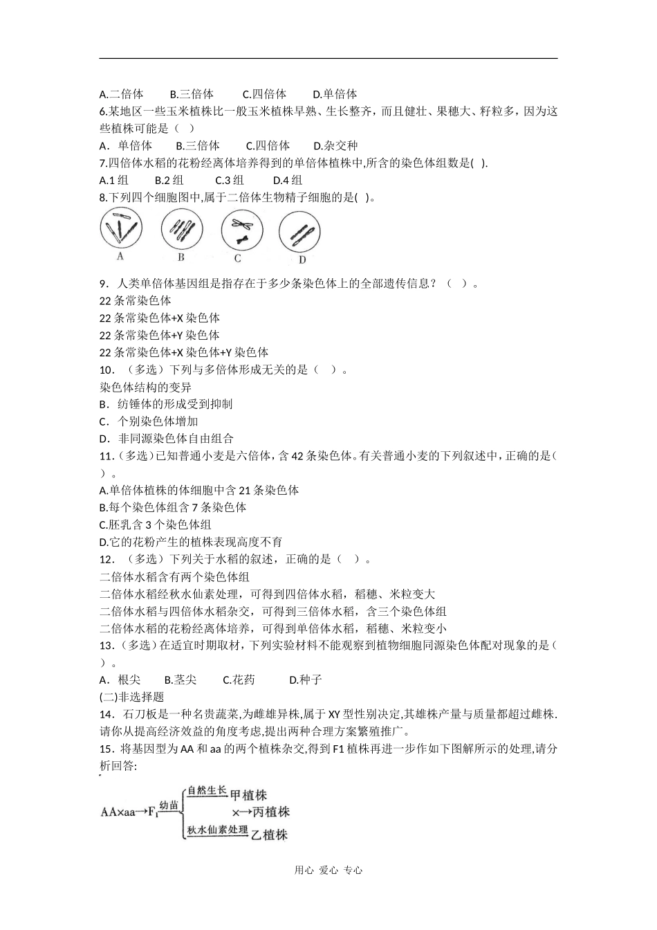 高中生物：5.2高中染色体变异 学案 1 新人教版必修2_第3页