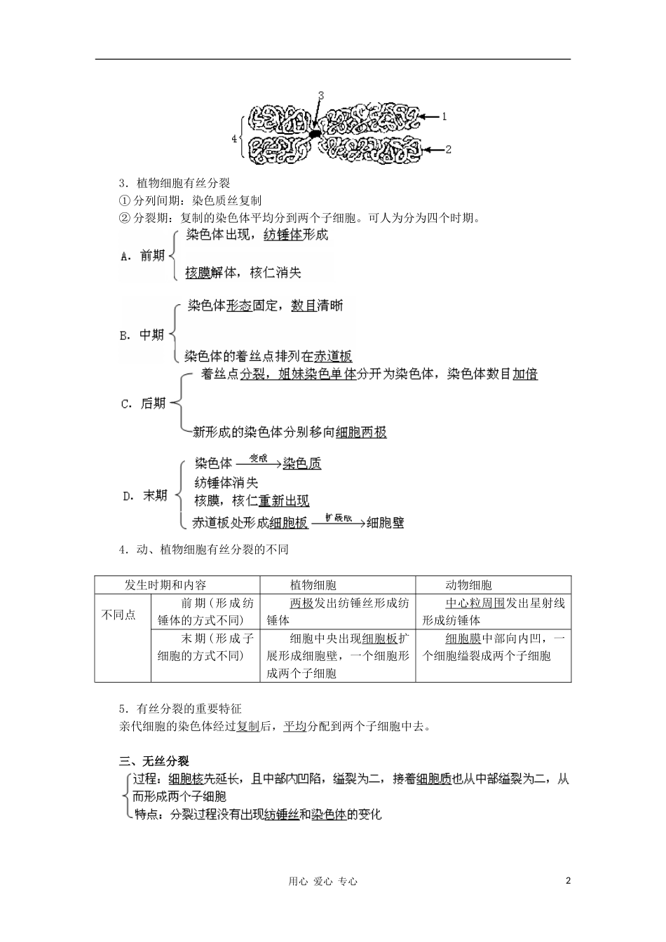 高中生物《细胞的增殖》学案5 浙教版必修1_第2页