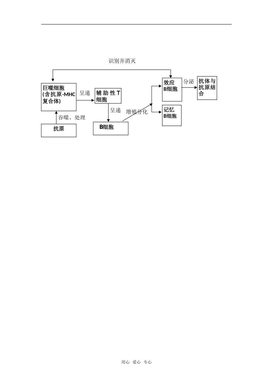 高中生物： 32 特异性反应（免疫应答）（学案）浙科版必修3_第2页