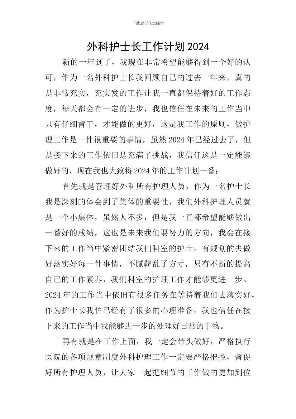 外科护士长工作计划2024_第1页