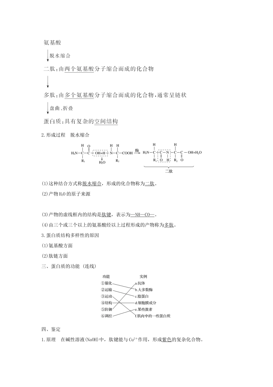 高中生物 第二章 细胞的化学组成 第二节 细胞中的生物大分子（第2课时）学案 苏教版必修1-苏教版高二必修1生物学案_第2页