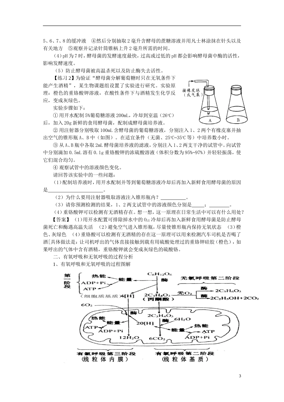 高中生物《ATP的主要来源——细胞呼吸》学案2 新人教版必修1_第3页