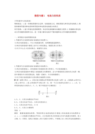 高中物理 第一章 静电场 微型专题1 电场力的性质学案 新人教版必修2-新人教版高二必修2物理学案