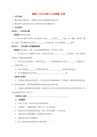 九年级化学 8.2《化学元素与人体健康》学案（无答案） 鲁教版