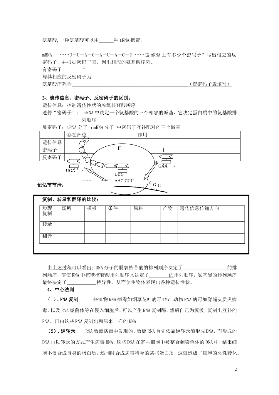 高中生物《基因指导蛋白质的合成》学案5 新人教版必修_第2页