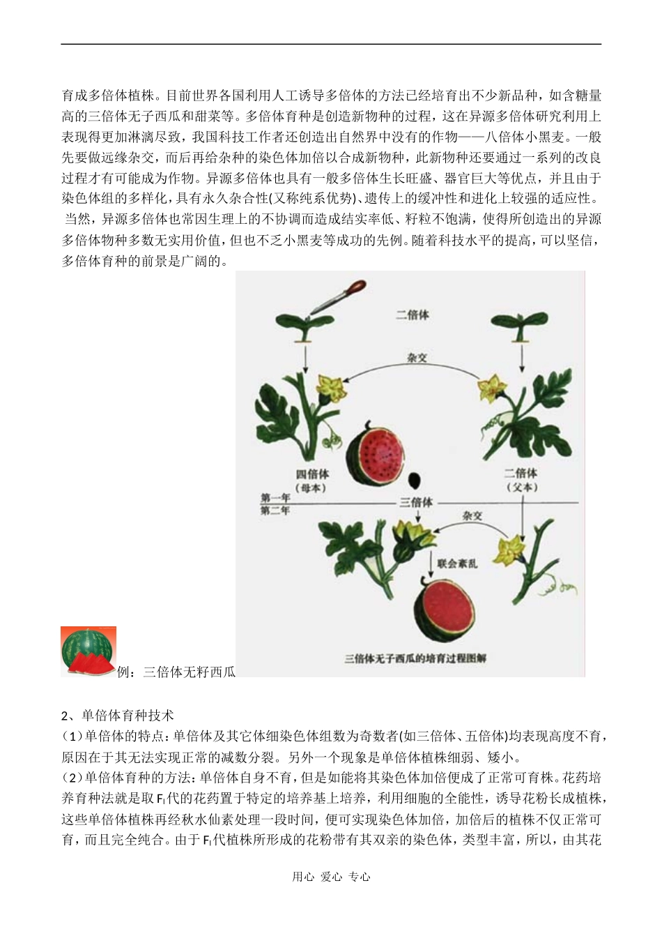 高中生物：染色体数目变异对性状的影响学案 中图版必修2_第3页