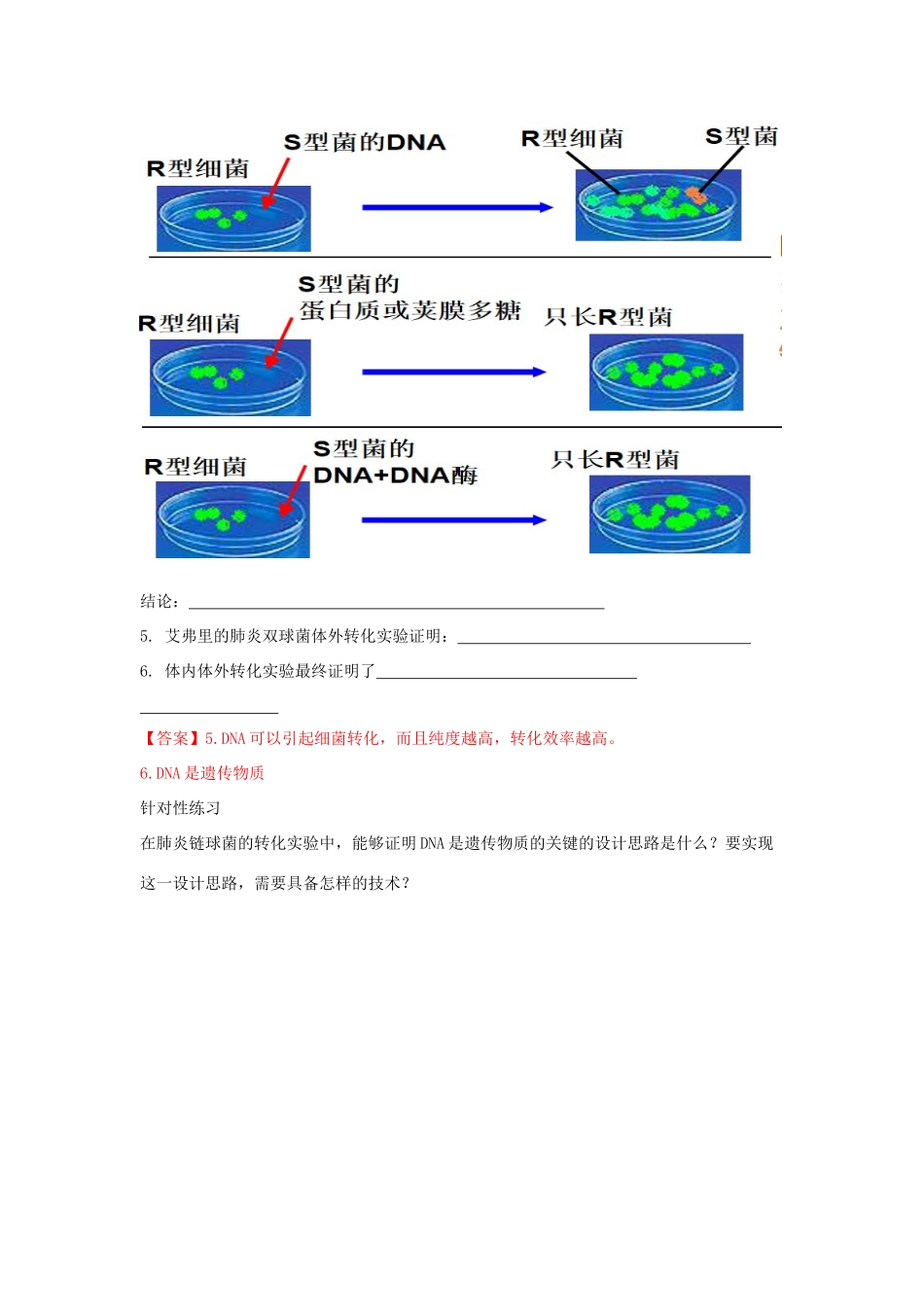 高中生物 第三章 遗传的分子基础 第一节 核酸是遗传物质学案（1）浙科版必修2-浙科版高一必修2生物学案_第3页