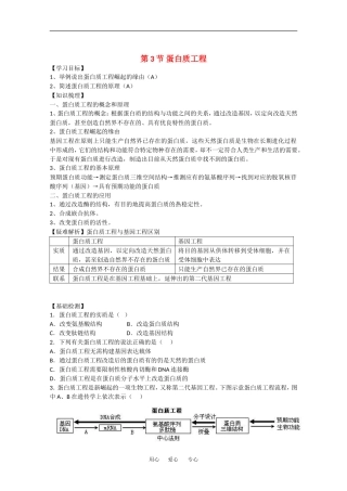 高中生物：1.3 蛋白质工程 学案（苏教版选修3）