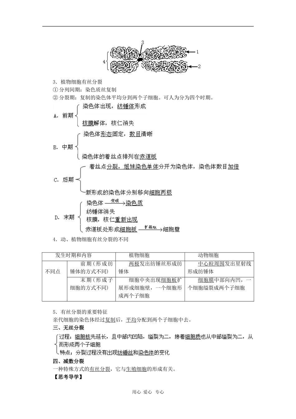 高中生物：5.1《细胞增殖》学案01（苏教版必修1）_第2页