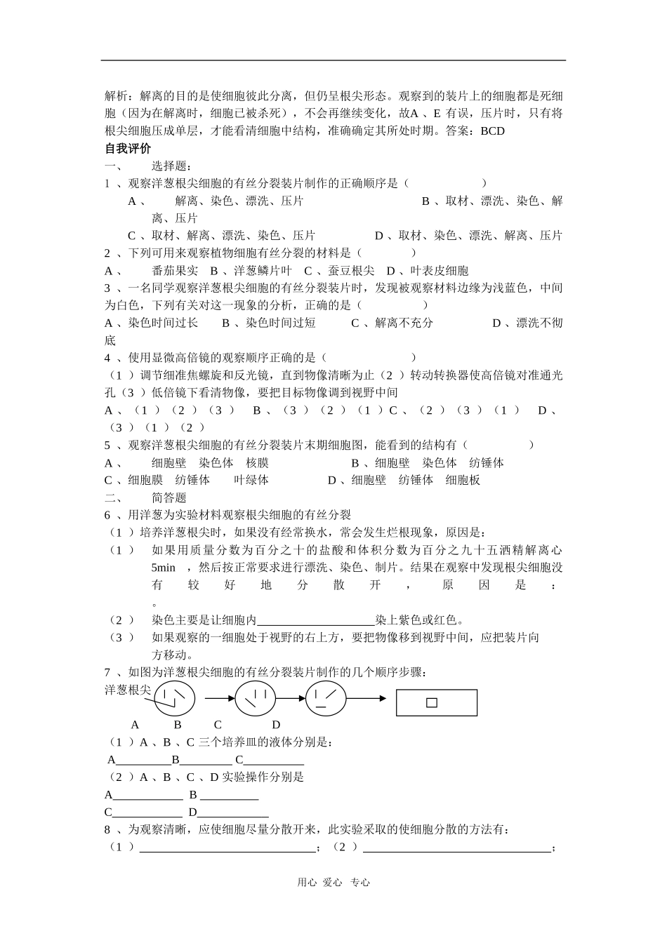 高中生物第一册学案：实验观察植物细胞的有丝分裂_第2页