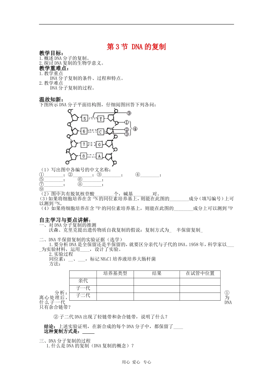 高中生物：3.3《DNA的复制》学案（新人教版必修2）_第1页