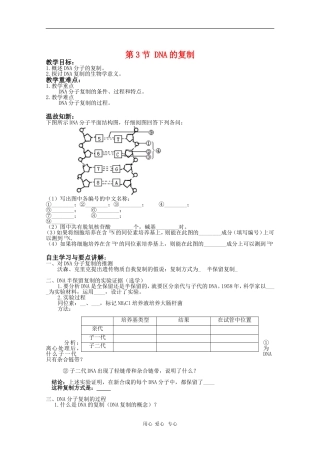 高中生物：3.3《DNA的复制》学案（新人教版必修2）