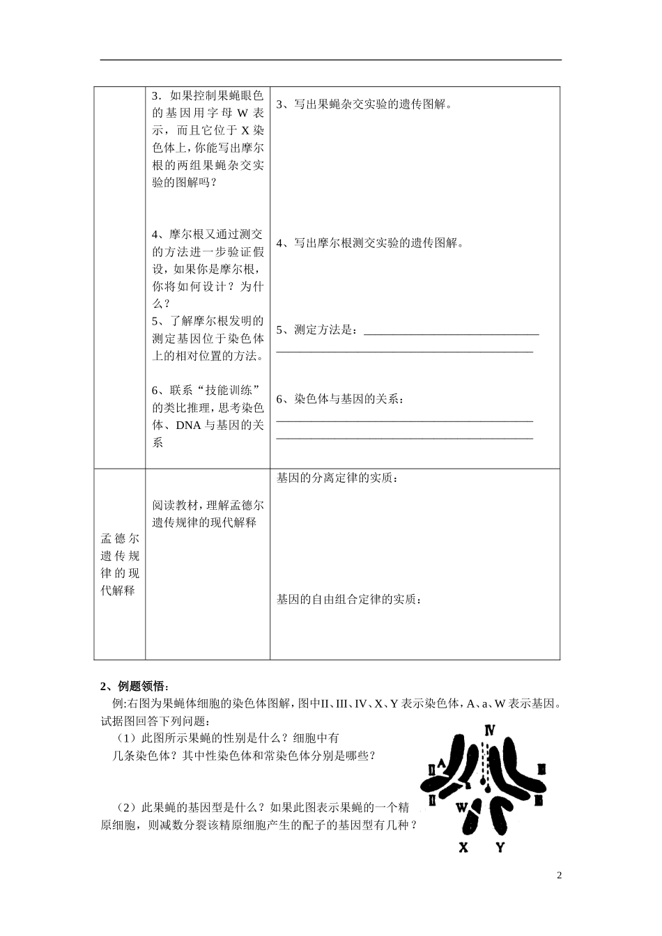 高中生物《基因在染色体上》学案3 新人教版必修2_第2页