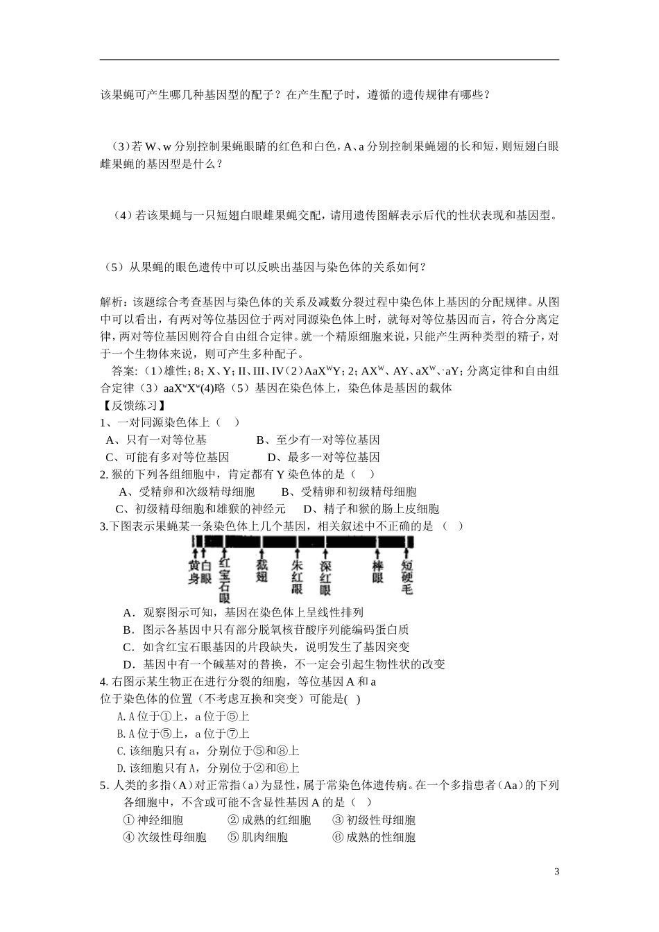 高中生物《基因在染色体上》学案3 新人教版必修2_第3页
