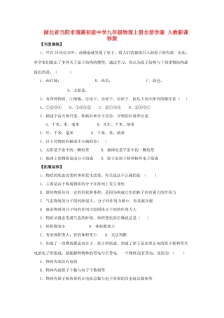 湖北省当阳市淯溪初级中学九年级物理上册全册学案 人教新课标版