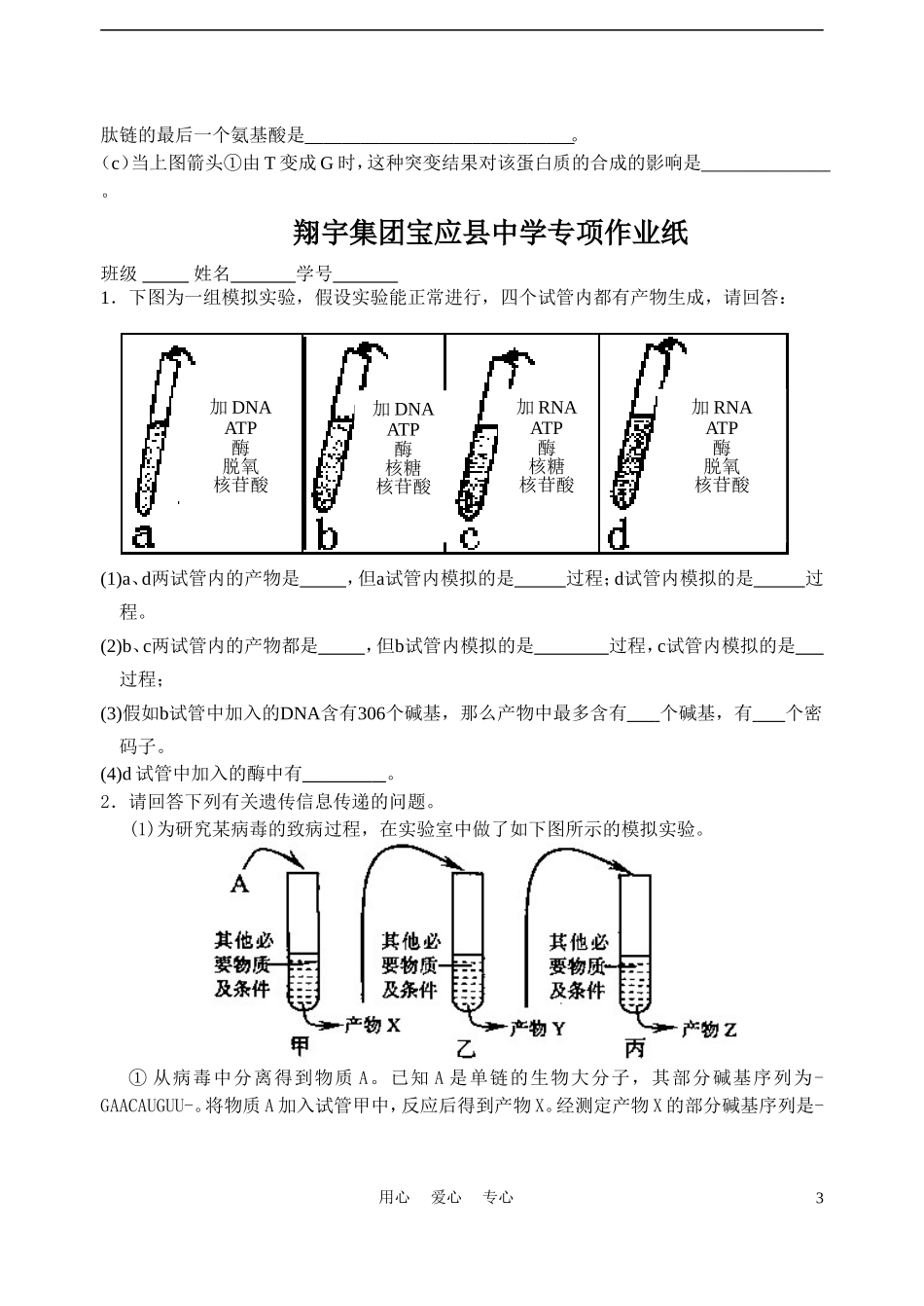 高中生物《遗传密码的破译》学案1 新人教版必修2_第3页