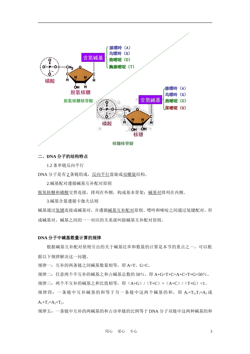 高中生物《DNA的分子结构和特点》学案1 浙教版必修2_第3页