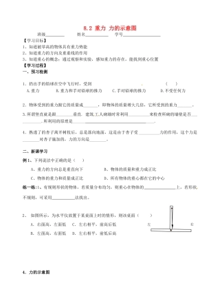 江苏省丹阳市后巷实验中学八年级物理下册 8.2 重力 力的示意图学案2（无答案） 苏科版