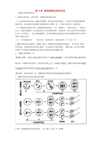 高中生物学业水平测试复习 第8讲 基因和染色体的关系学案-人教版高二全册生物学案