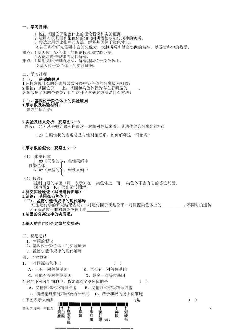 高中生物《基因在染色体上》导学案7 新人教版必修2_第2页