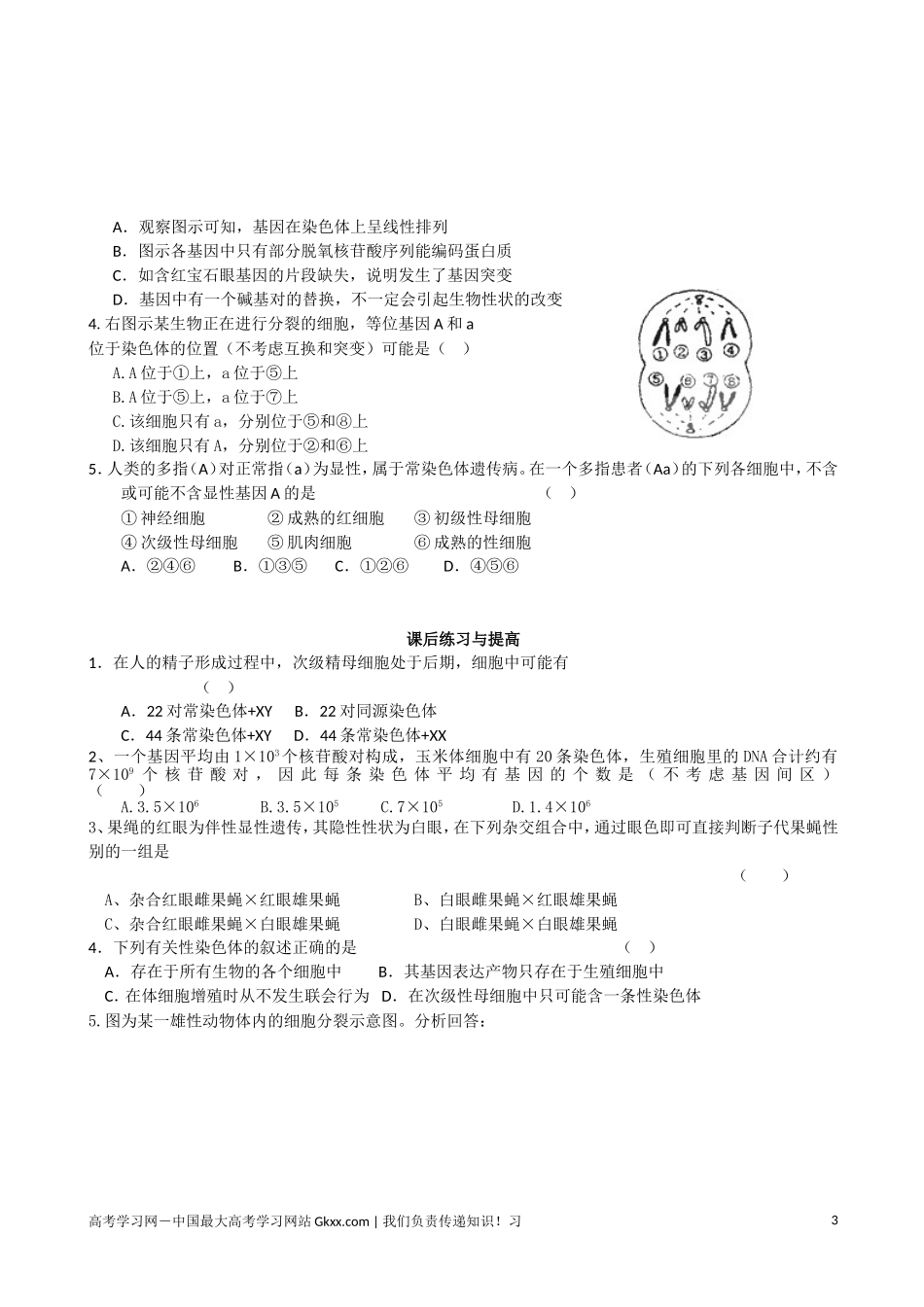 高中生物《基因在染色体上》导学案7 新人教版必修2_第3页