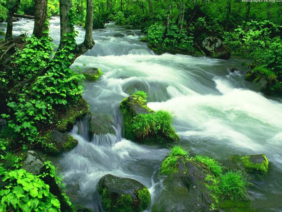 2013年秋九年级化学上册 第二单元 我们周围的空气 课题2 氧气精品课件 （新版）新人教版_第3页