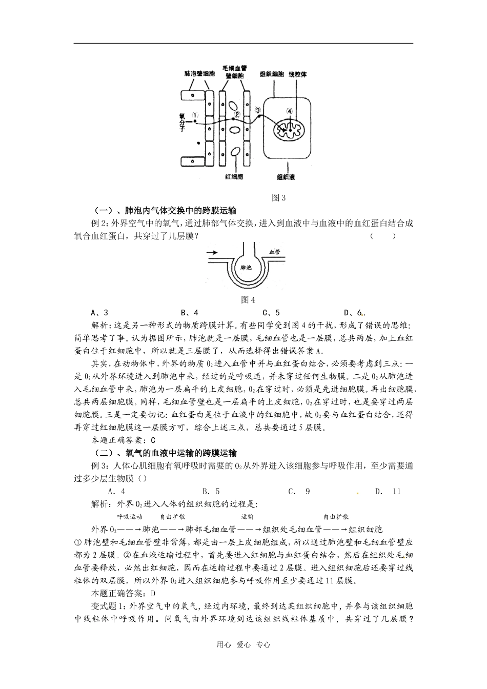 高中生物： 33 物质的跨膜运输（学案）苏教版必修1_第2页