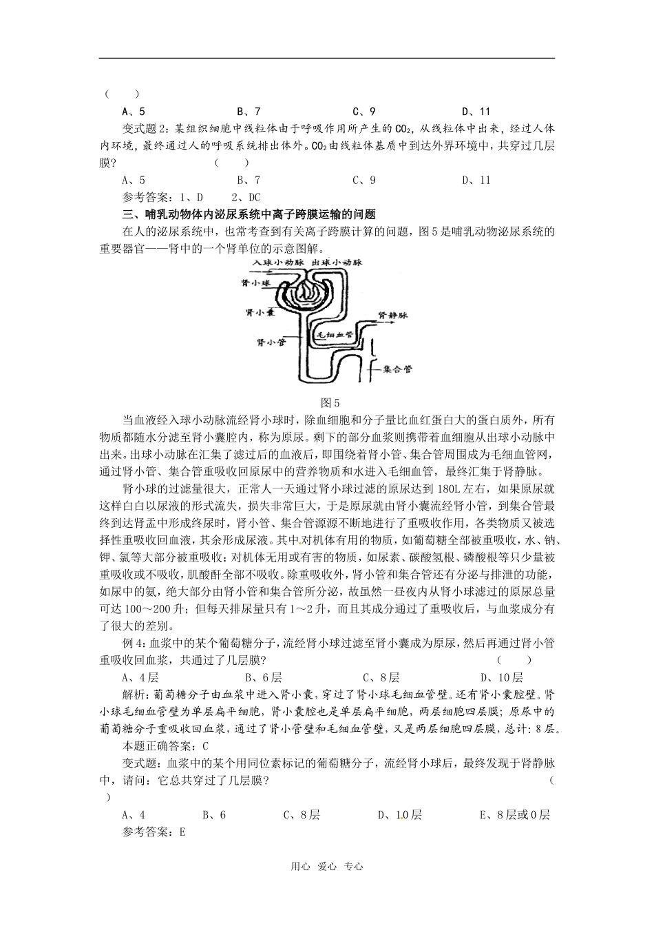 高中生物： 33 物质的跨膜运输（学案）苏教版必修1_第3页