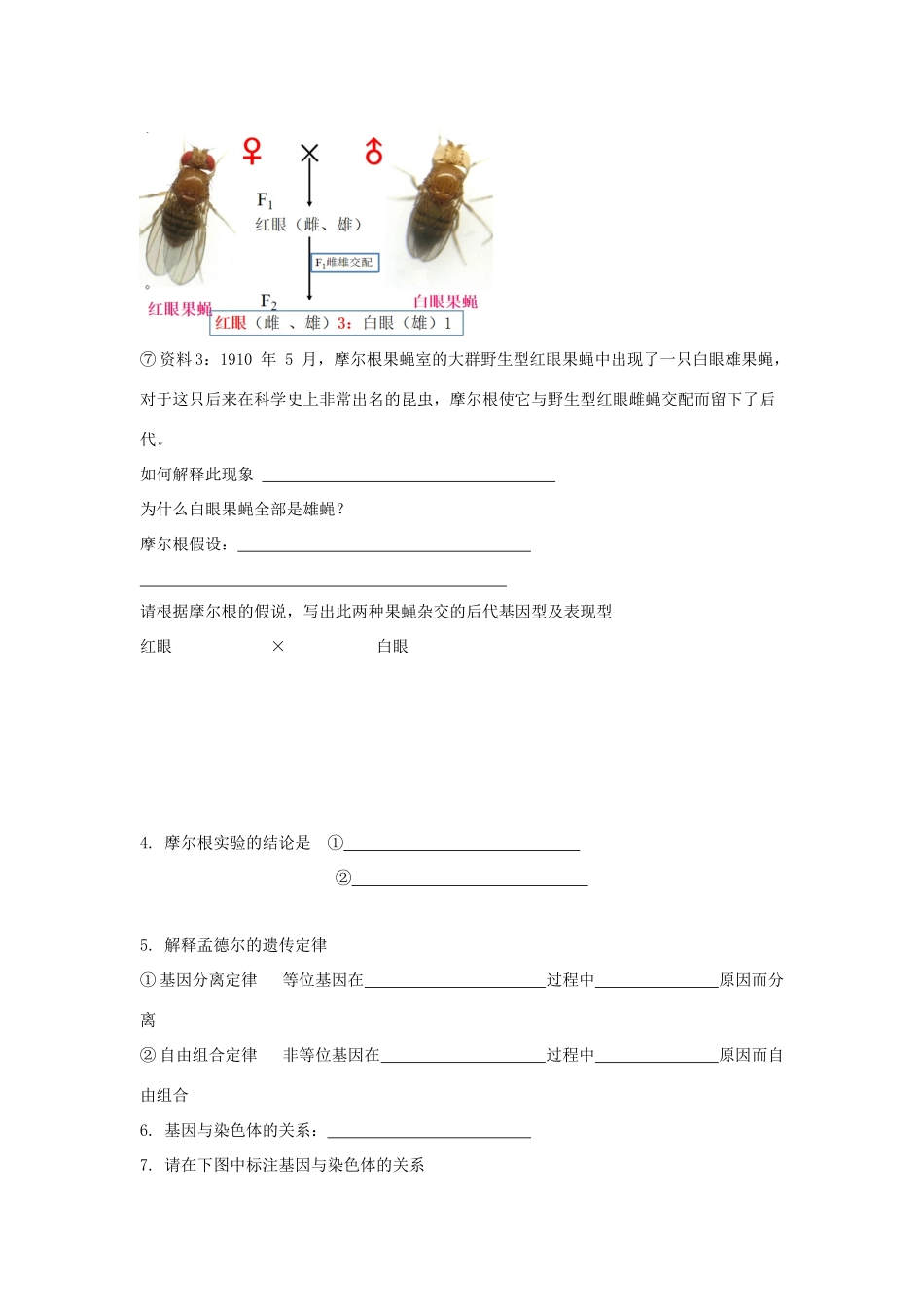 高中生物 第二章 染色体与遗传 第二节 基因伴随染色体传递学案（1）浙科版必修2-浙科版高一必修2生物学案_第3页